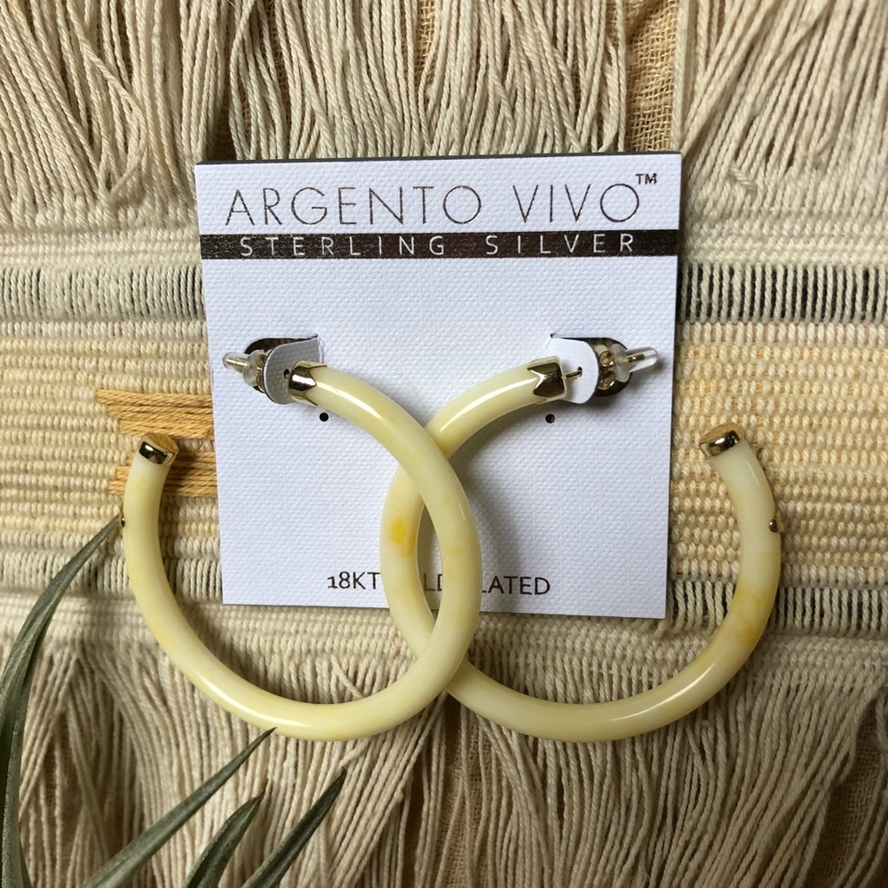 Argento Vivo • Marbleized Resin Hoop Earrings - Picture 2 of 5